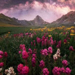دانلود آهنگ گله دارم از این دنیای وارونه – هوش مصنوعی دانلود آهنگ گله دارم از این دنیای وارونه – هوش مصنوعی